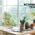 лесните за отглеждане стайни растения