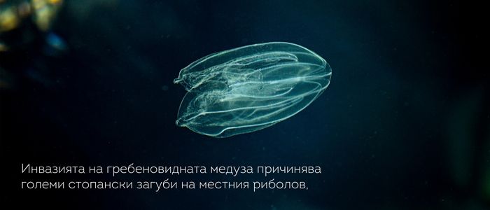 20 интересни факта за Черно Море
