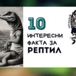 Рептил