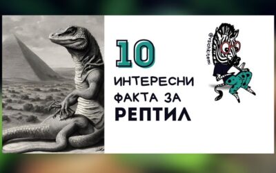 10 Факта за Рептил, които трябва да знаете