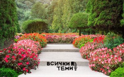 Цъфтящи градини и природни чудеса: Най-красивите места за посещение през пролетта