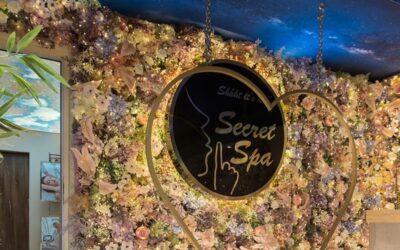 Частно парти в спа център: Новият хит това лято