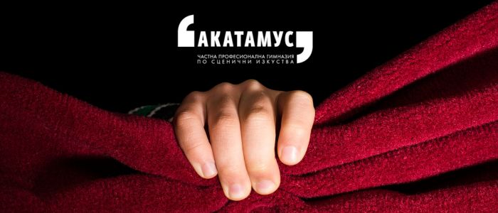 професионална гимназия по изкуства