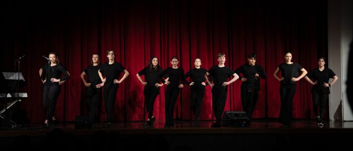 гимназия за актьорско майсторство, прием