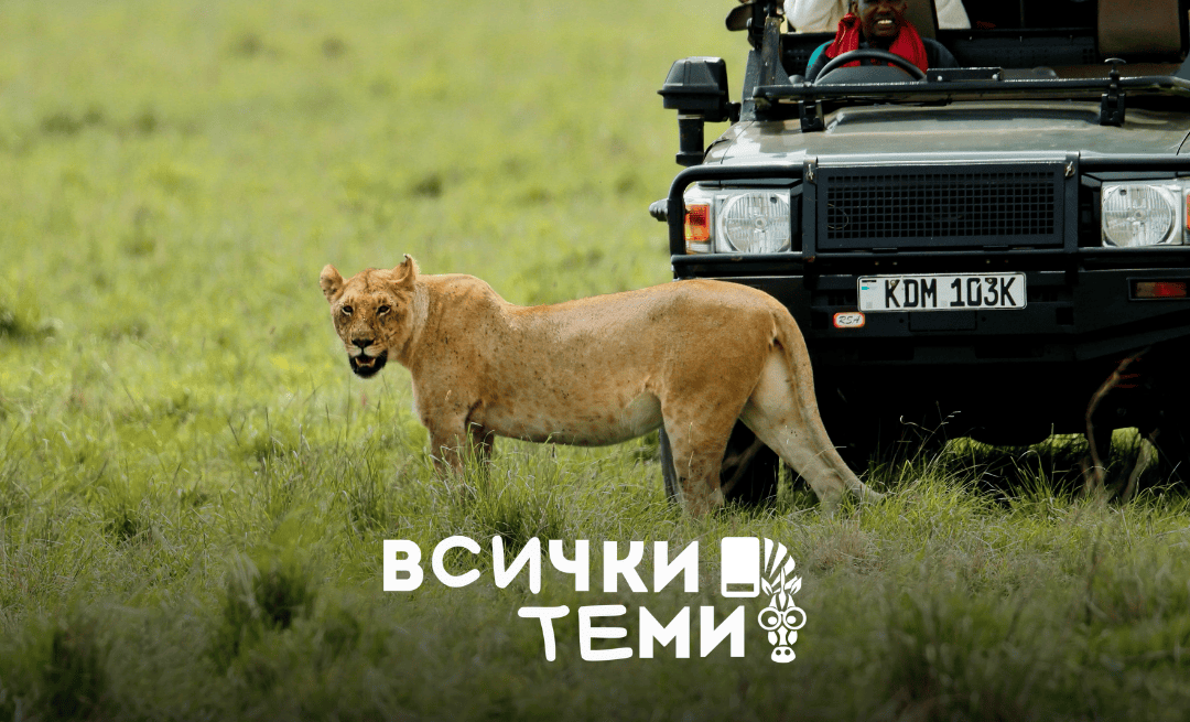 Сафари в Африка: Кения или Танзания – как да изберете правилното пътуване?